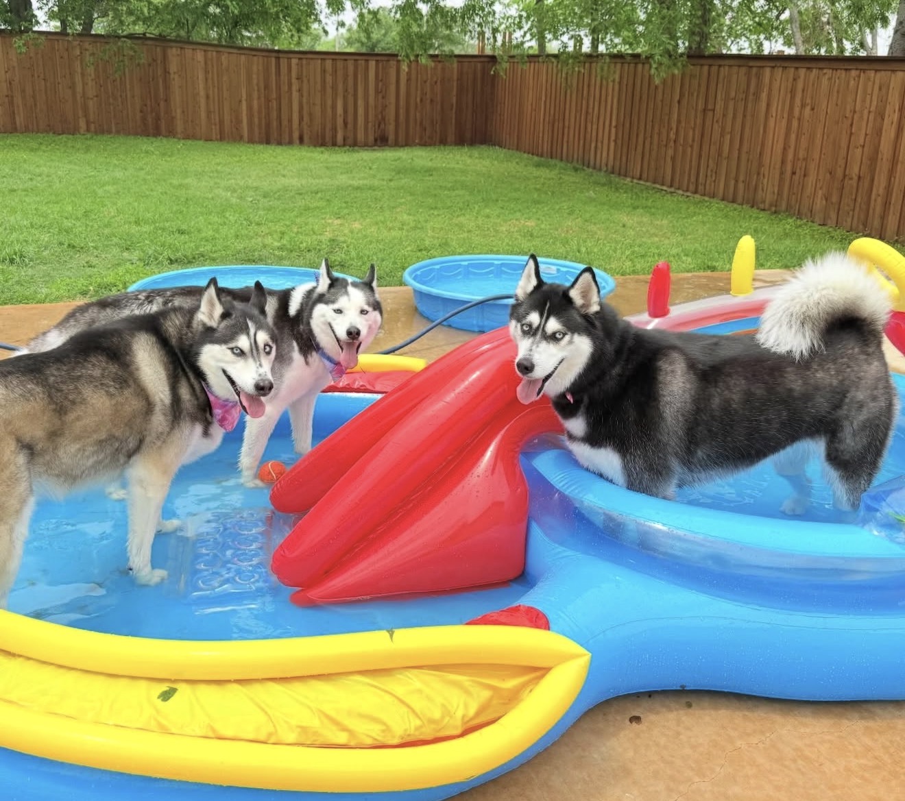 Daycare photos 7