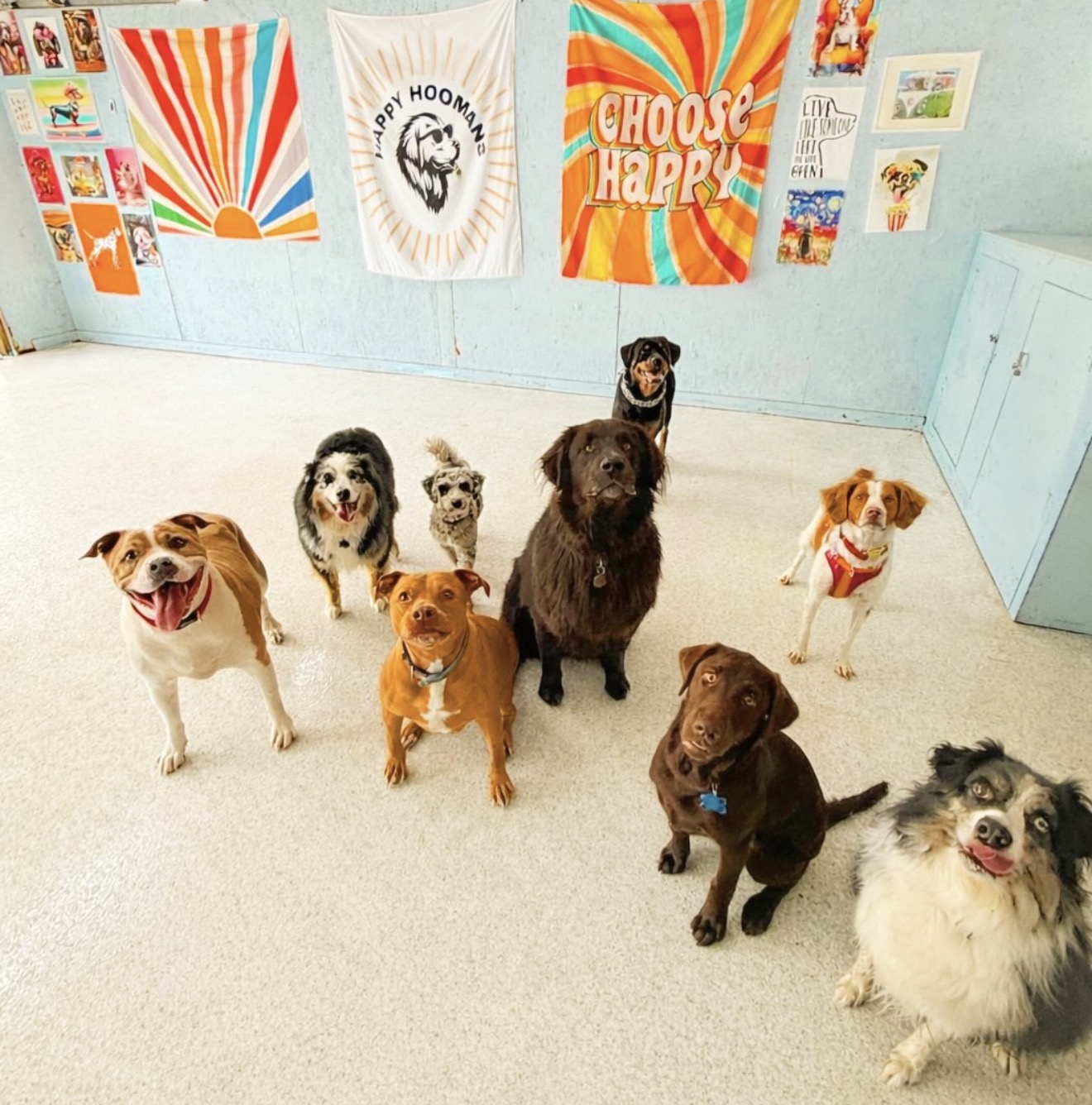 Daycare photos 8