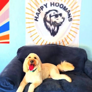 Boarding facility 10