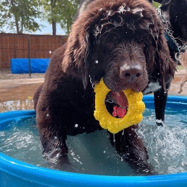 Boarding facility 11